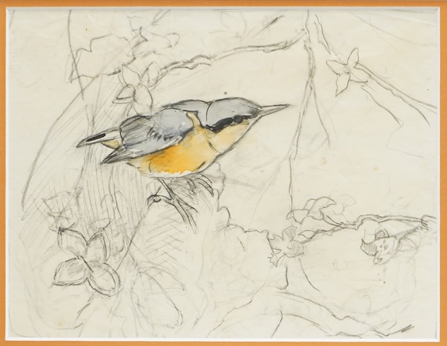 Winifred Austin (1876-1964), ‘Nuthatch’, The Wildlife Art Gallery label verso, pencil and watercolour, 16 x 21cm